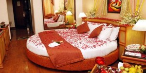 manali honeymoon packages - honeymoon in manali - manali honeymoon package - kullu manali honeymoon packages